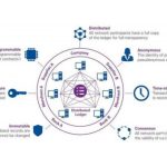 How much is the price of blockchain wallets (how much does blockchain development cost)