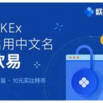 Online wallet) (WeChat wallet generator online)