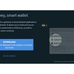 Vubi Wallet Official Website (VDS Wallet Official Website Download)