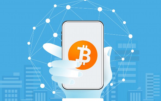 Can Bitcoin Wallets use it simultaneously (will Bitcoin be placed in the wallet, will it rise)